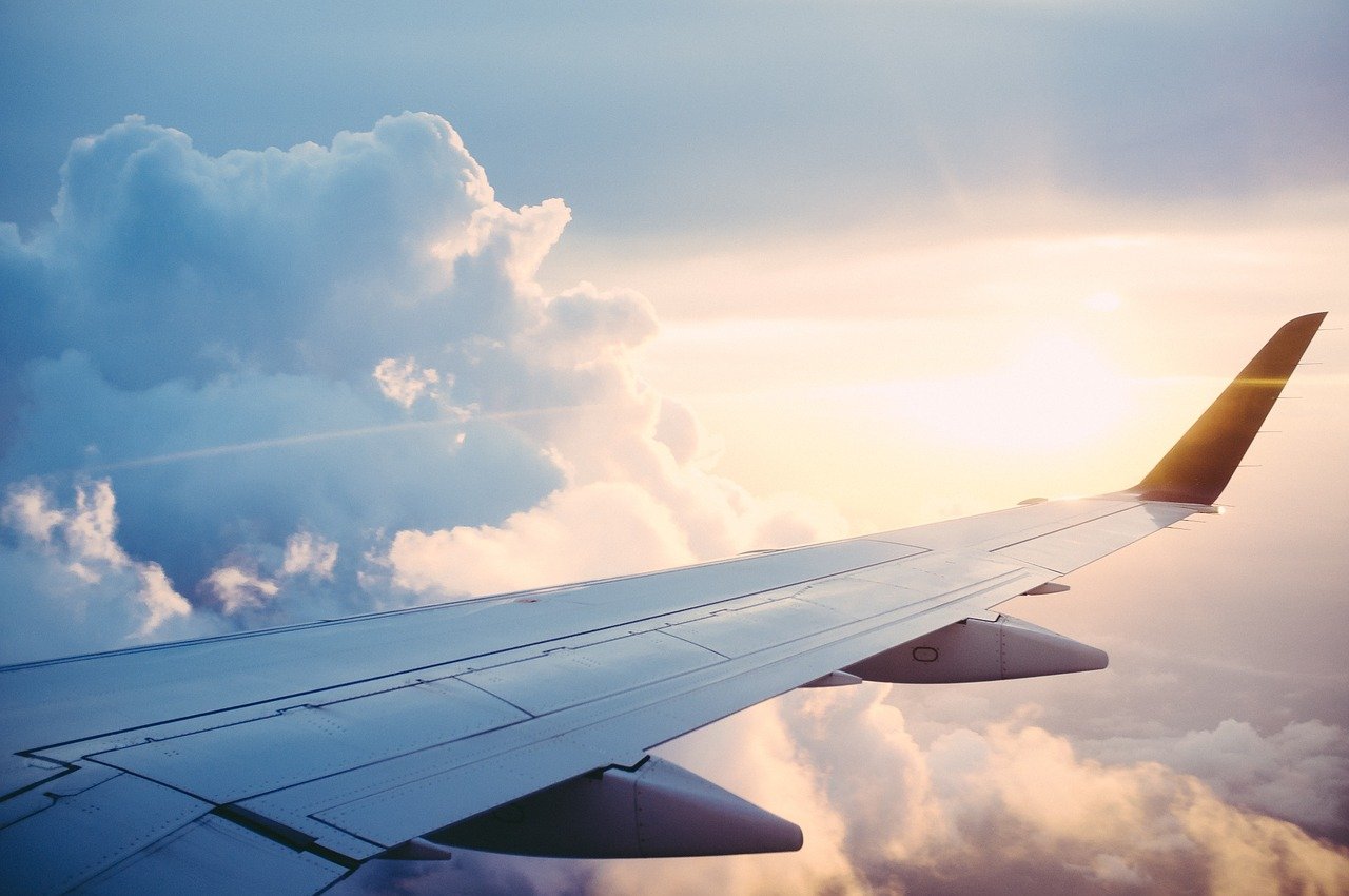plane, wing, flight